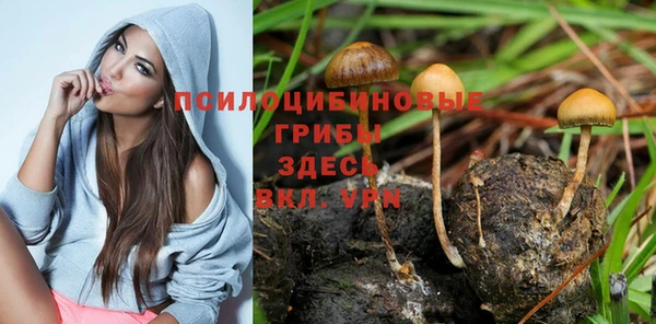 а пвп мука Армянск