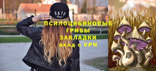 гидропоника Аркадак
